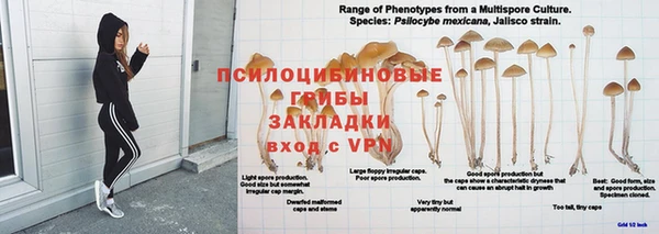 хмурый Алексин