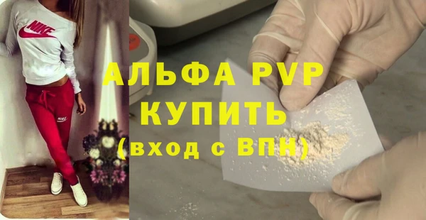 хмурый Алексин