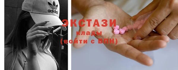 хмурый Алексин
