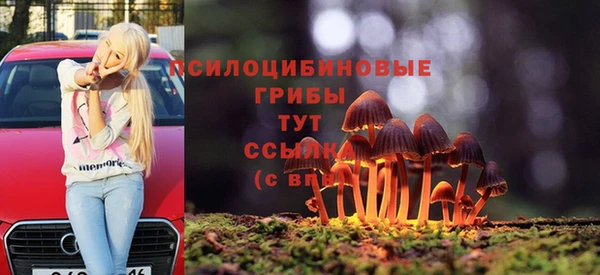 хмурый Алексин